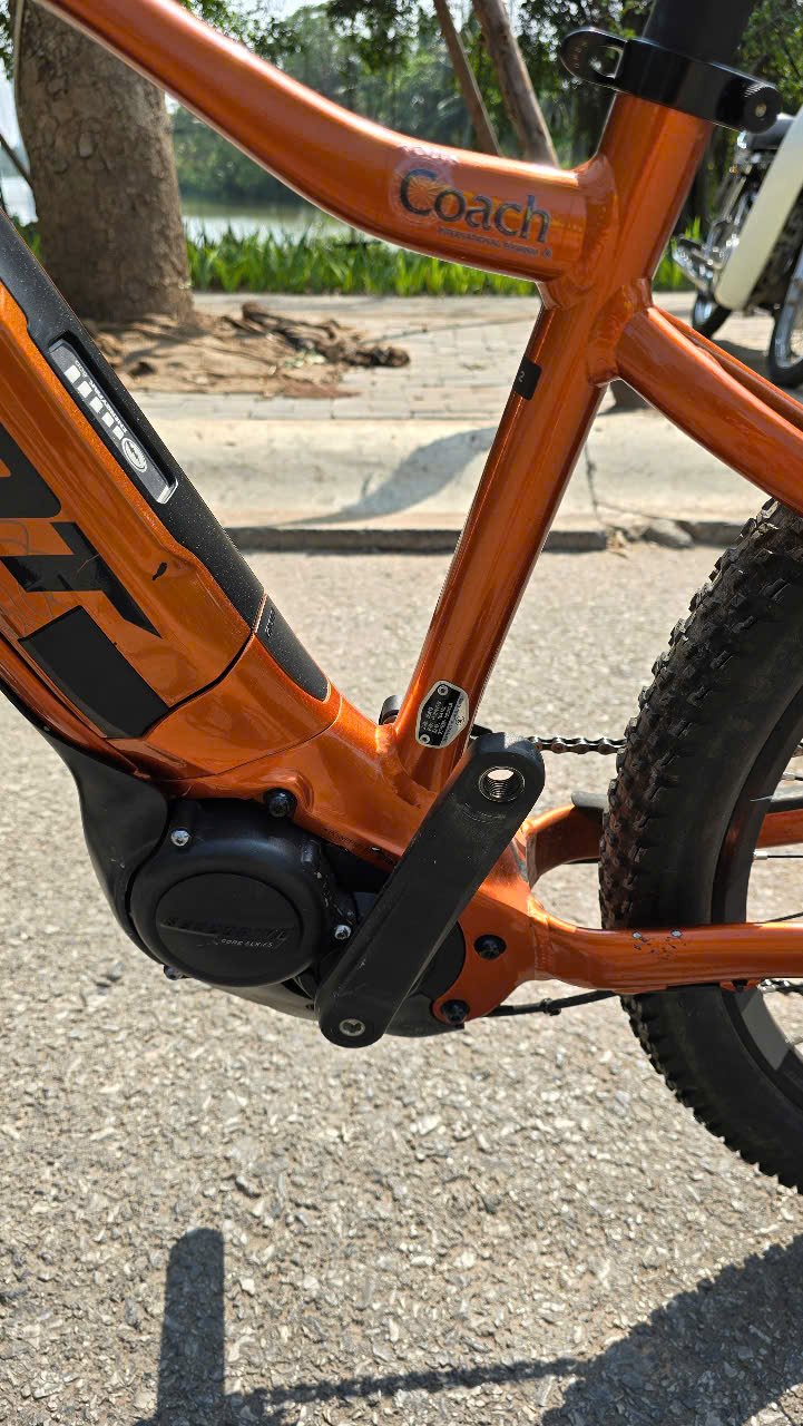 Between the Mountains and the Sea: The Definitive Guide to a Da Nang E-Bike Cycling Tour